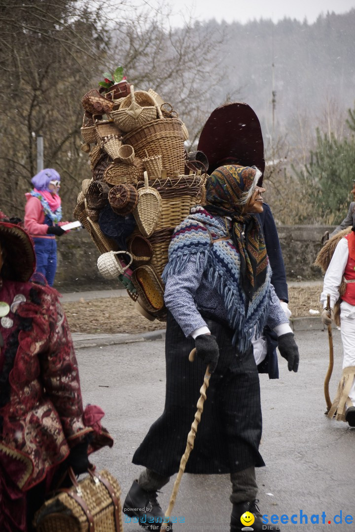 Festumzug mit Motivwagen: Stockach am Bodensee, 01.02.2015