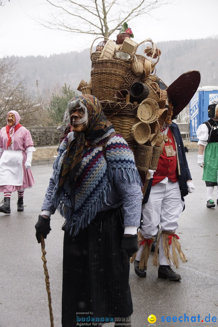 Festumzug mit Motivwagen: Stockach am Bodensee, 01.02.2015