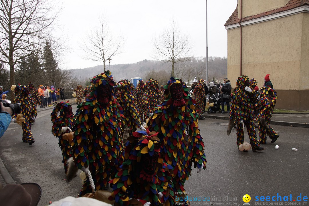 Festumzug mit Motivwagen: Stockach am Bodensee, 01.02.2015