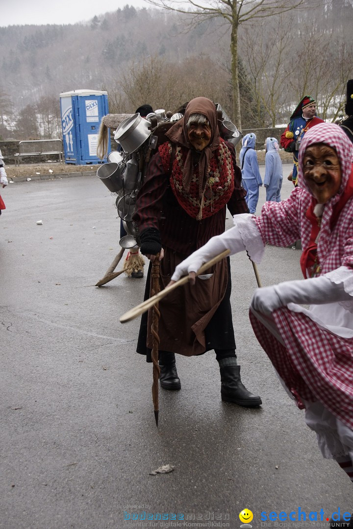 Festumzug mit Motivwagen: Stockach am Bodensee, 01.02.2015