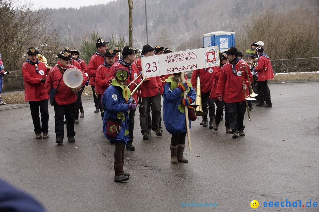 Festumzug mit Motivwagen: Stockach am Bodensee, 01.02.2015