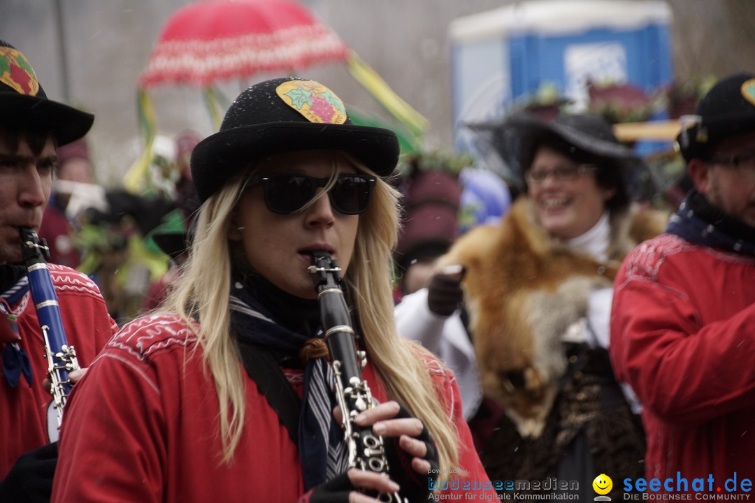 Festumzug mit Motivwagen: Stockach am Bodensee, 01.02.2015