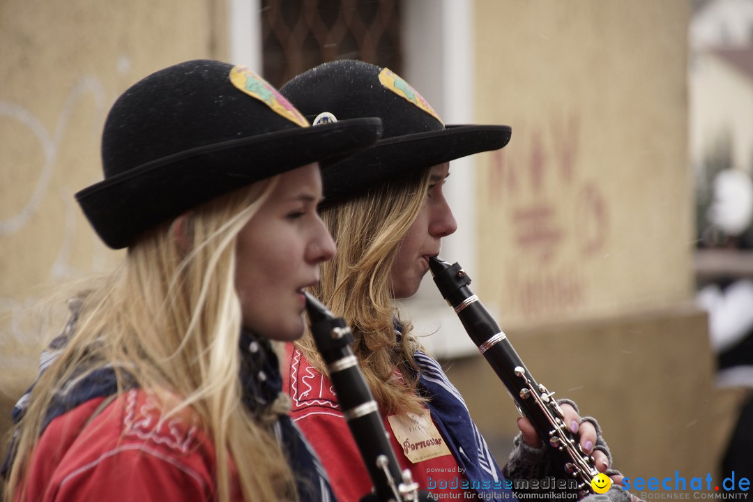 Festumzug mit Motivwagen: Stockach am Bodensee, 01.02.2015