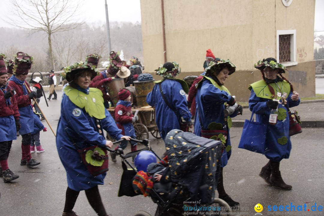 Festumzug mit Motivwagen: Stockach am Bodensee, 01.02.2015