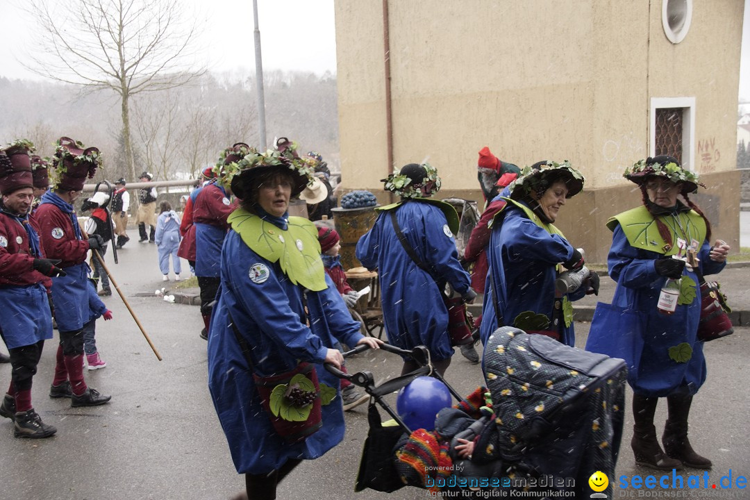 Festumzug mit Motivwagen: Stockach am Bodensee, 01.02.2015