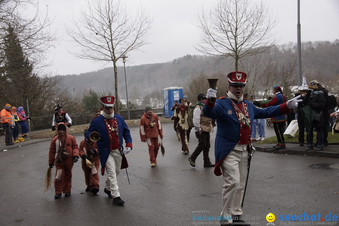 Festumzug mit Motivwagen: Stockach am Bodensee, 01.02.2015