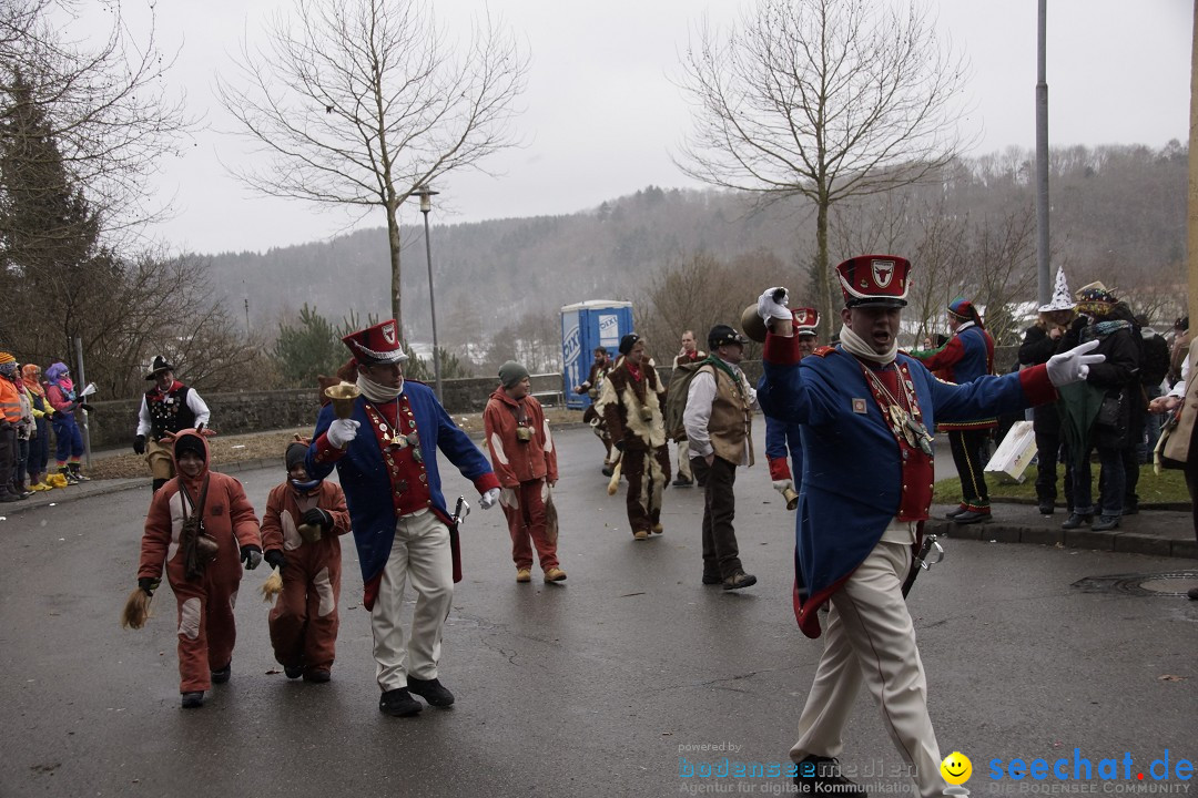 Festumzug mit Motivwagen: Stockach am Bodensee, 01.02.2015