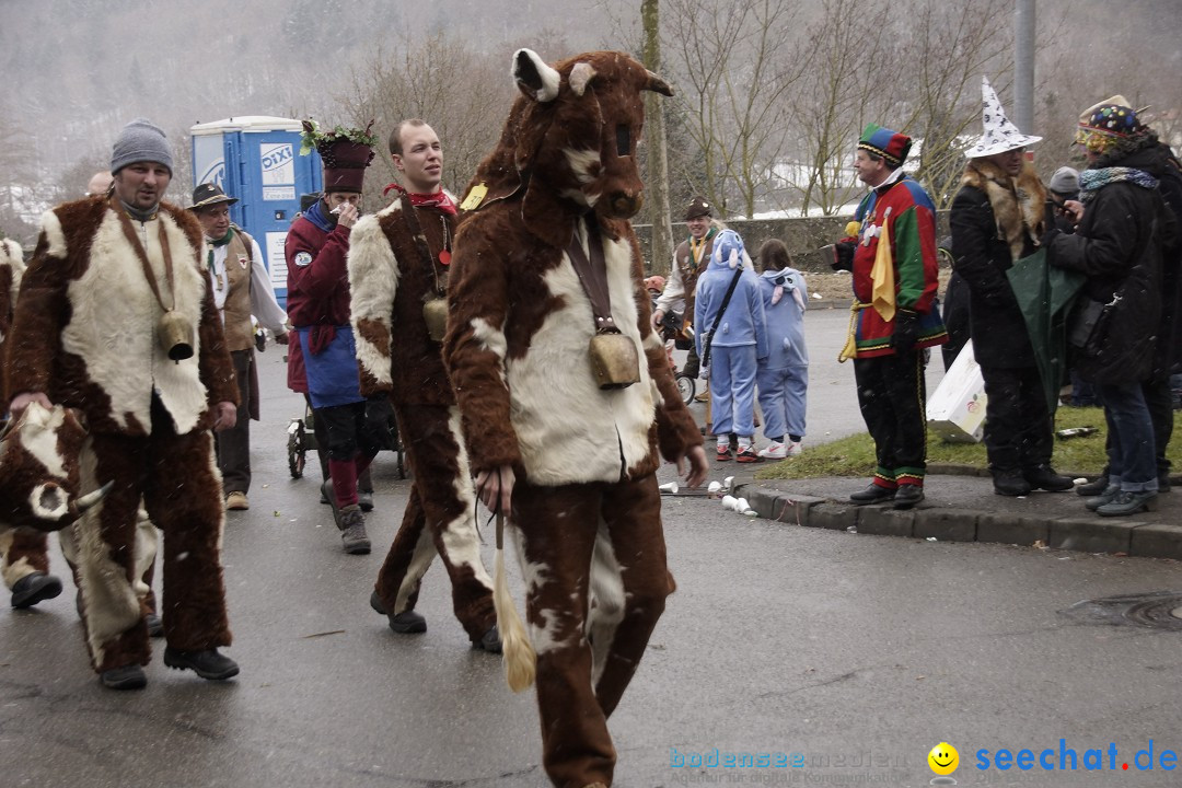 Festumzug mit Motivwagen: Stockach am Bodensee, 01.02.2015