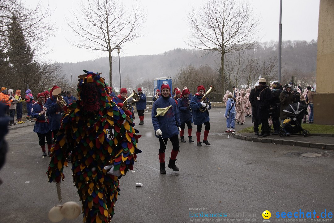 Festumzug mit Motivwagen: Stockach am Bodensee, 01.02.2015