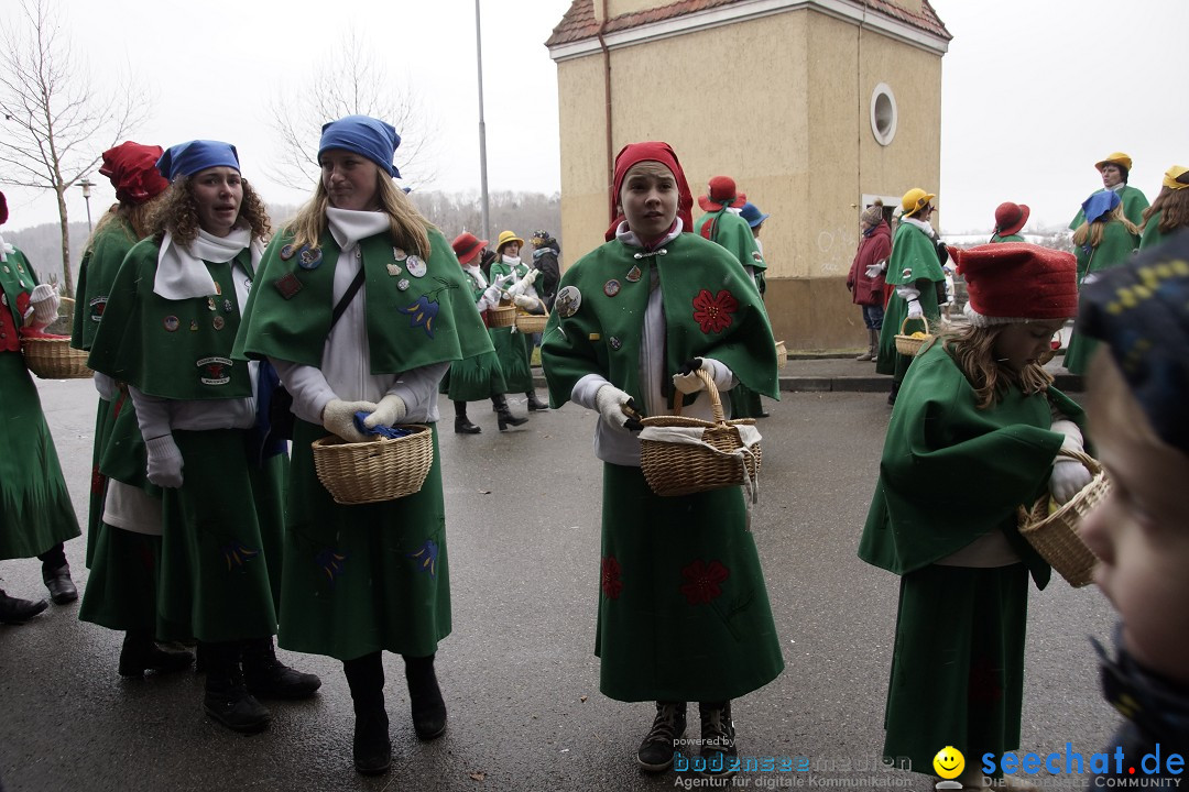 Festumzug mit Motivwagen: Stockach am Bodensee, 01.02.2015