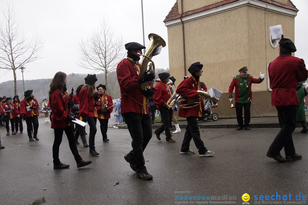 Festumzug mit Motivwagen: Stockach am Bodensee, 01.02.2015