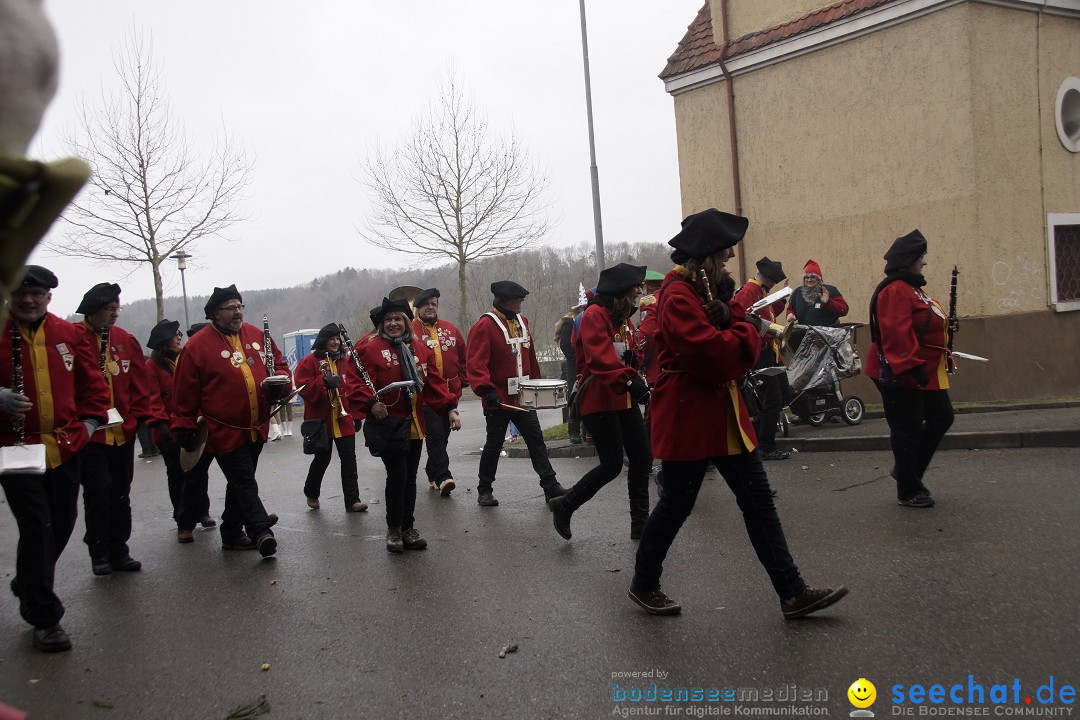 Festumzug mit Motivwagen: Stockach am Bodensee, 01.02.2015