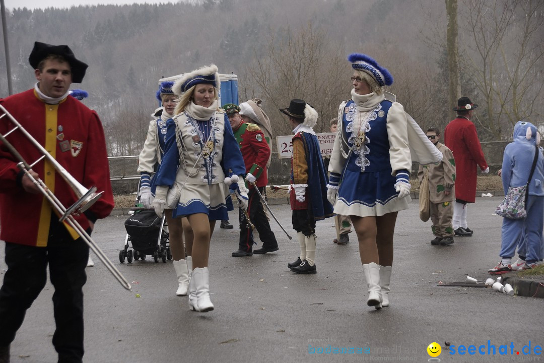 Festumzug mit Motivwagen: Stockach am Bodensee, 01.02.2015