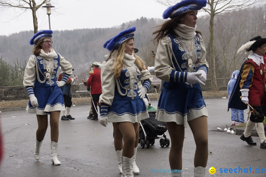 Festumzug mit Motivwagen: Stockach am Bodensee, 01.02.2015