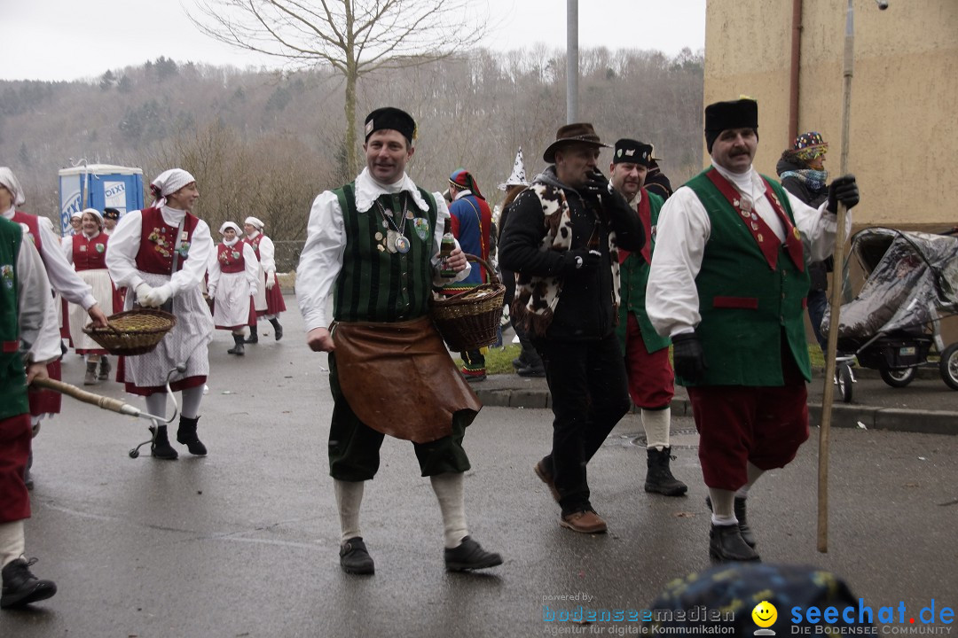 Festumzug mit Motivwagen: Stockach am Bodensee, 01.02.2015