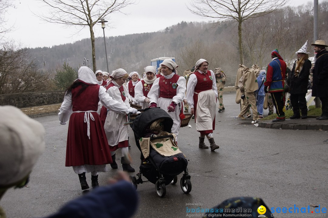 Festumzug mit Motivwagen: Stockach am Bodensee, 01.02.2015