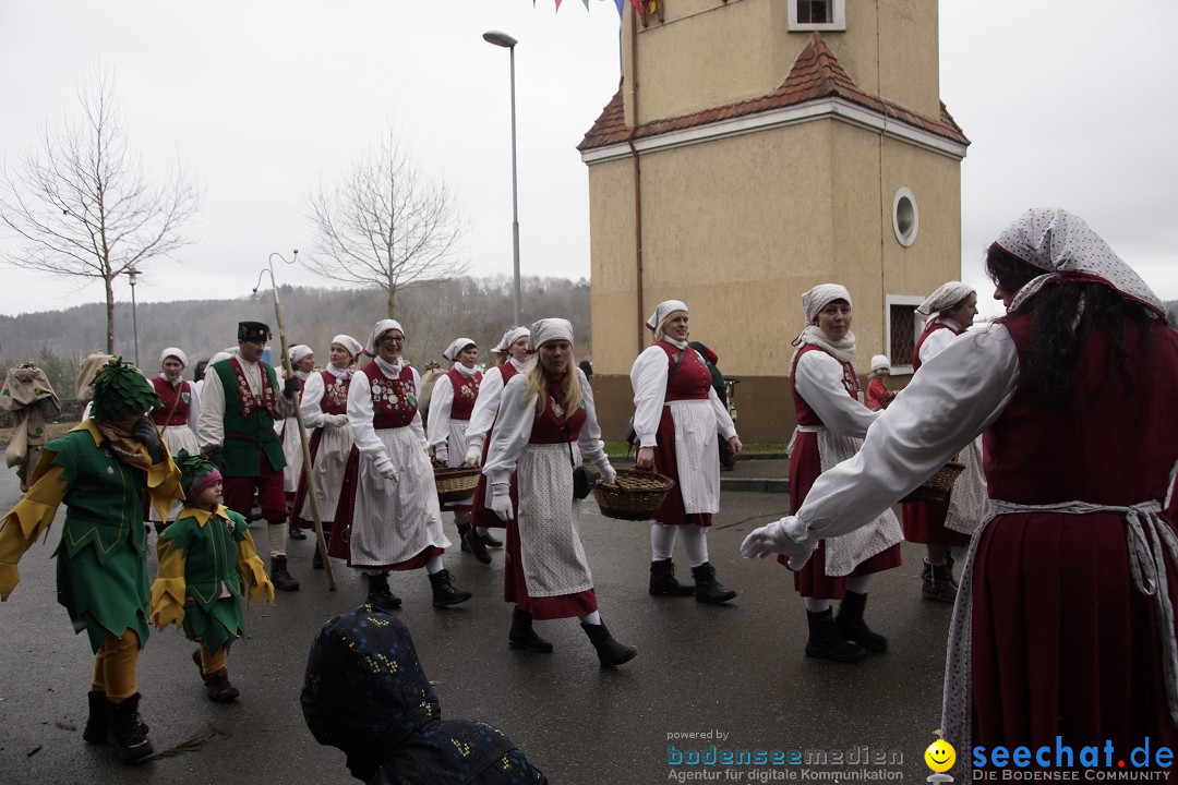 Festumzug mit Motivwagen: Stockach am Bodensee, 01.02.2015