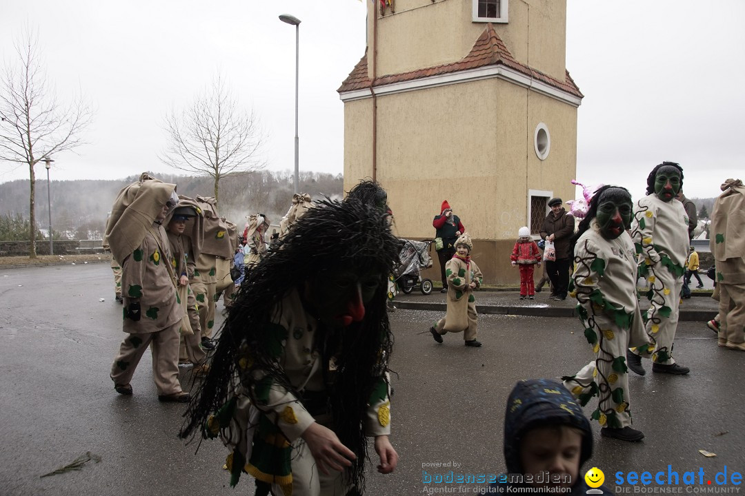 Festumzug mit Motivwagen: Stockach am Bodensee, 01.02.2015