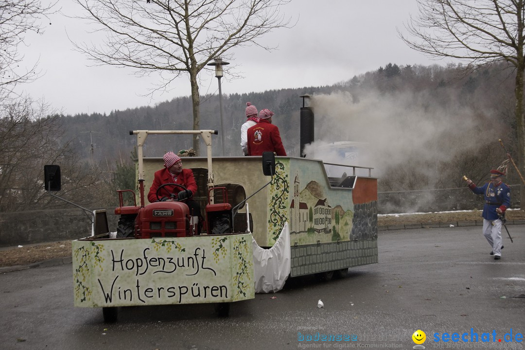 Festumzug mit Motivwagen: Stockach am Bodensee, 01.02.2015