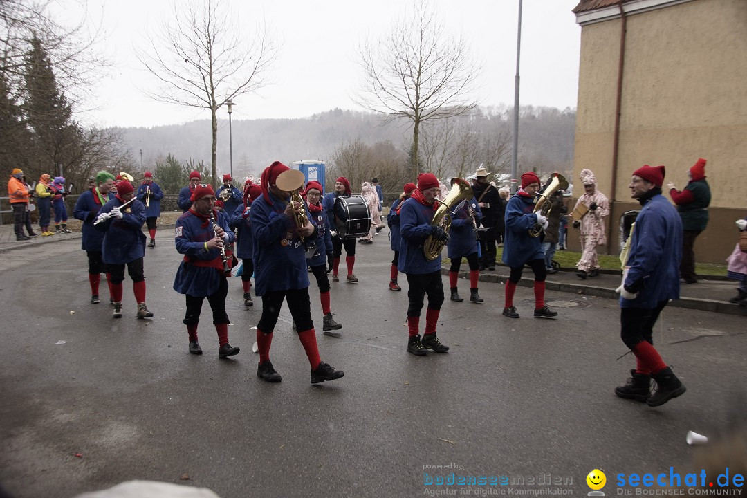 Festumzug mit Motivwagen: Stockach am Bodensee, 01.02.2015