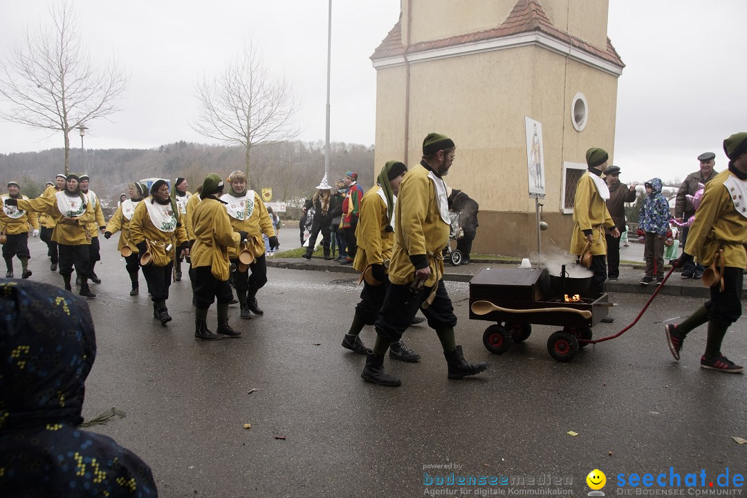 Festumzug mit Motivwagen: Stockach am Bodensee, 01.02.2015