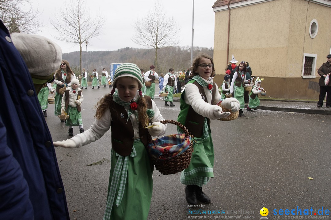 Festumzug mit Motivwagen: Stockach am Bodensee, 01.02.2015