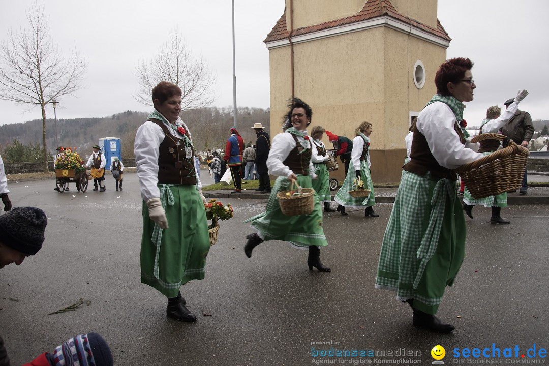 Festumzug mit Motivwagen: Stockach am Bodensee, 01.02.2015