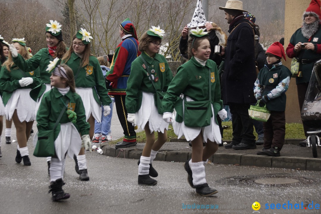 Festumzug mit Motivwagen: Stockach am Bodensee, 01.02.2015