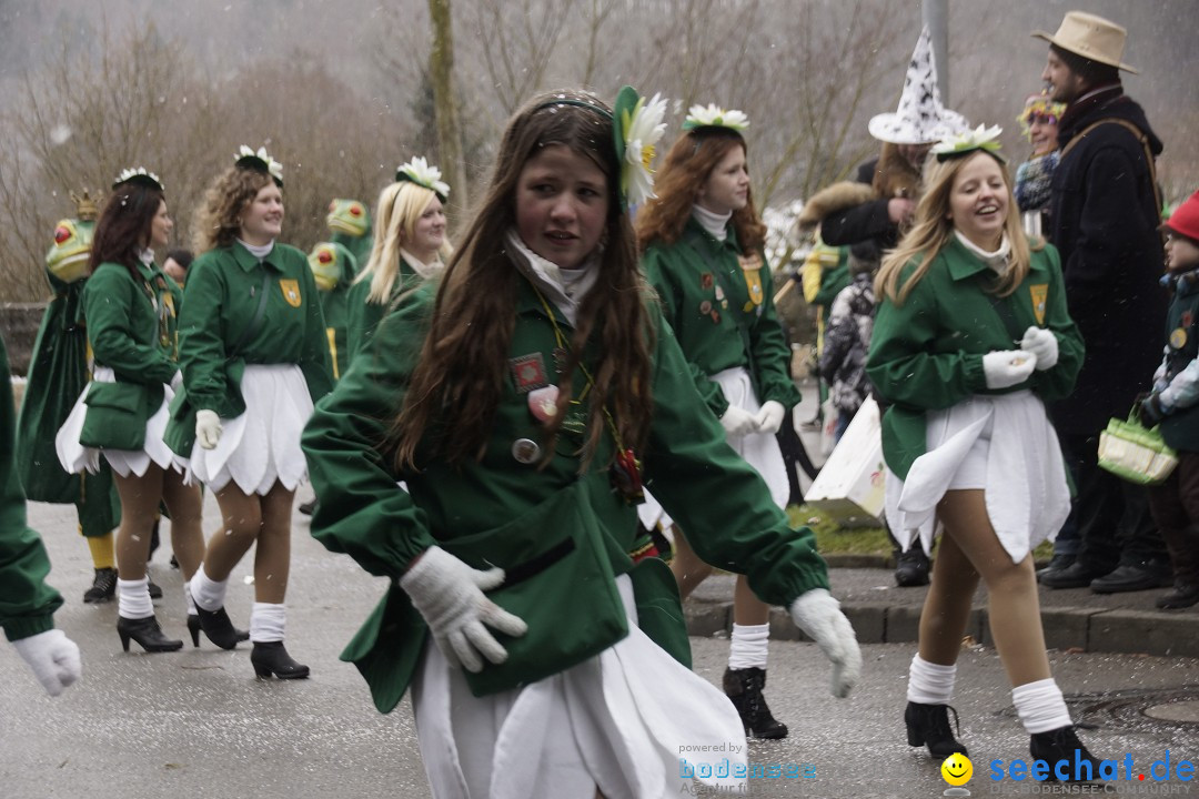 Festumzug mit Motivwagen: Stockach am Bodensee, 01.02.2015