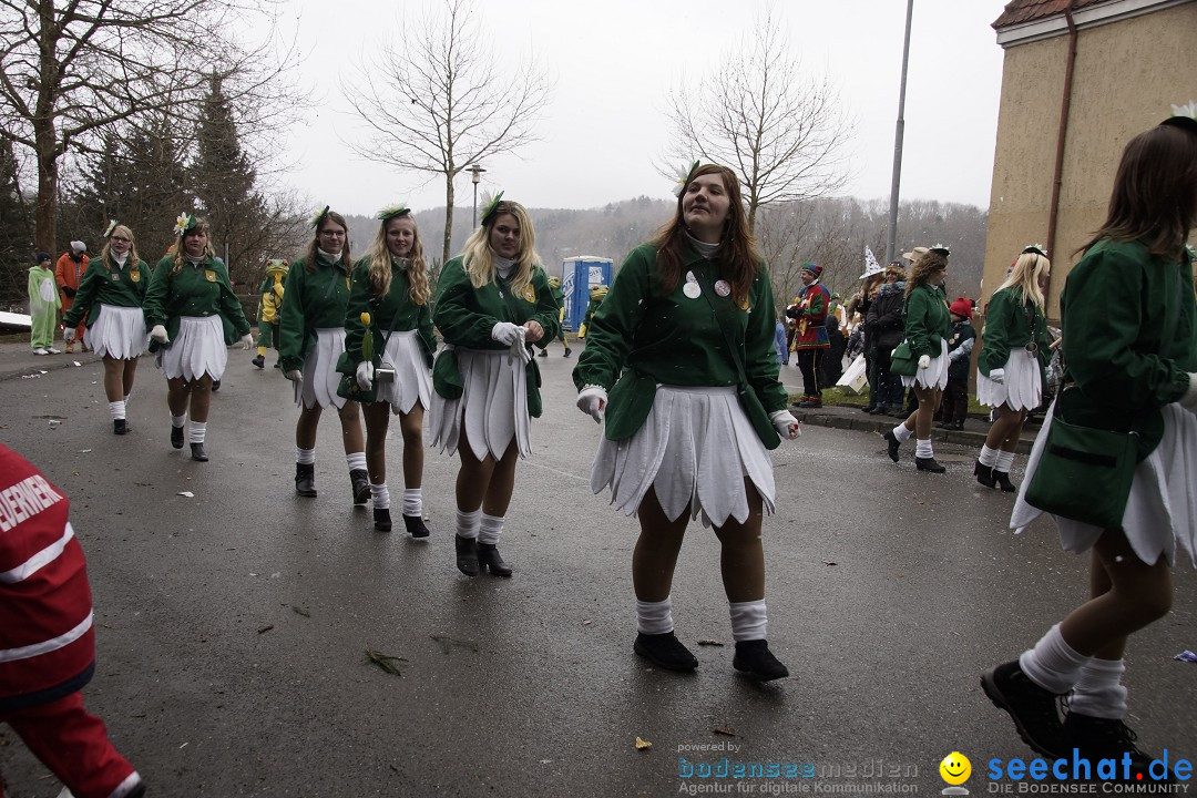 Festumzug mit Motivwagen: Stockach am Bodensee, 01.02.2015