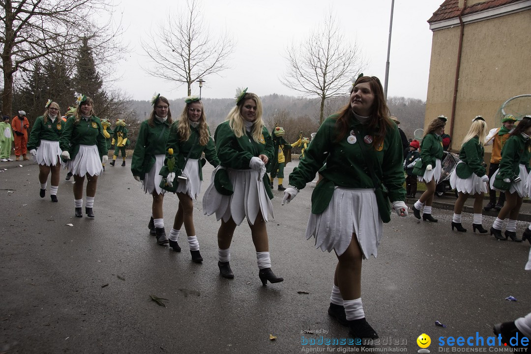 Festumzug mit Motivwagen: Stockach am Bodensee, 01.02.2015