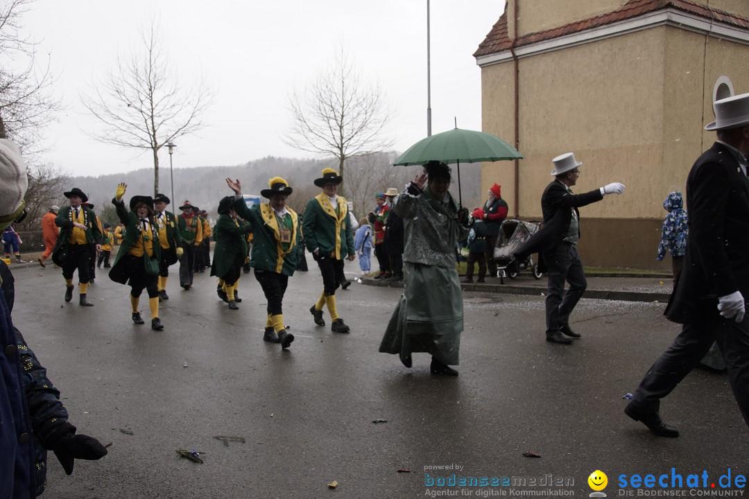 Festumzug mit Motivwagen: Stockach am Bodensee, 01.02.2015