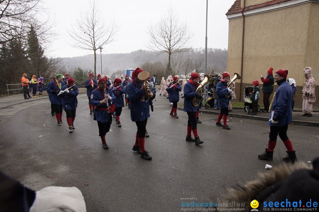 Festumzug mit Motivwagen: Stockach am Bodensee, 01.02.2015