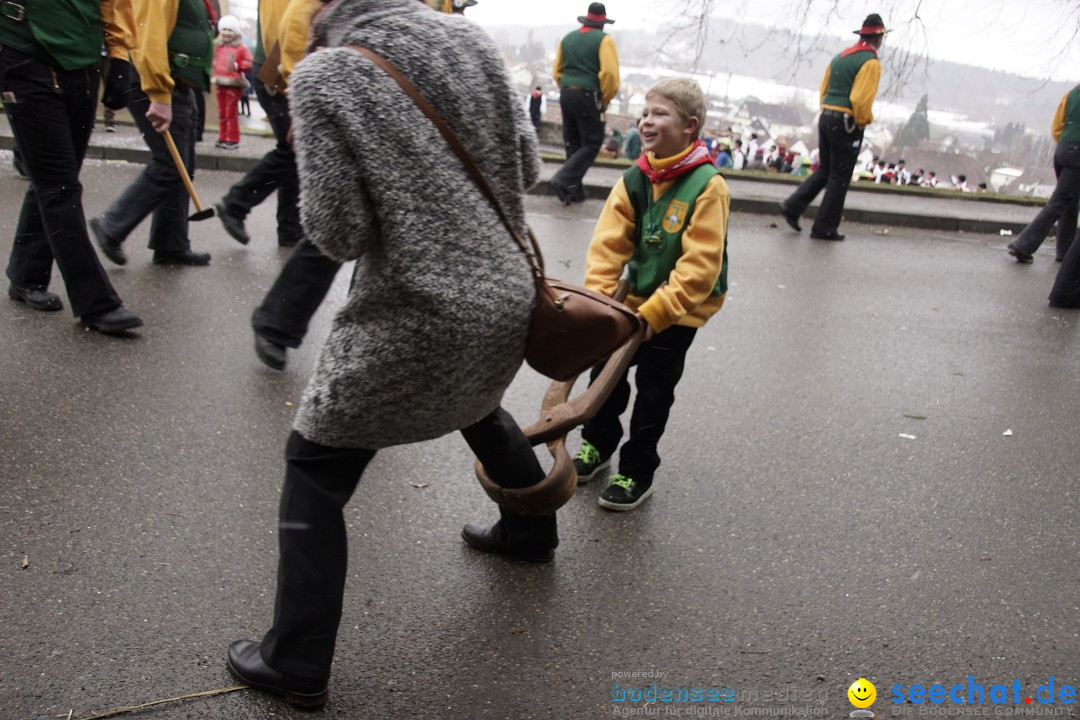 Festumzug mit Motivwagen: Stockach am Bodensee, 01.02.2015