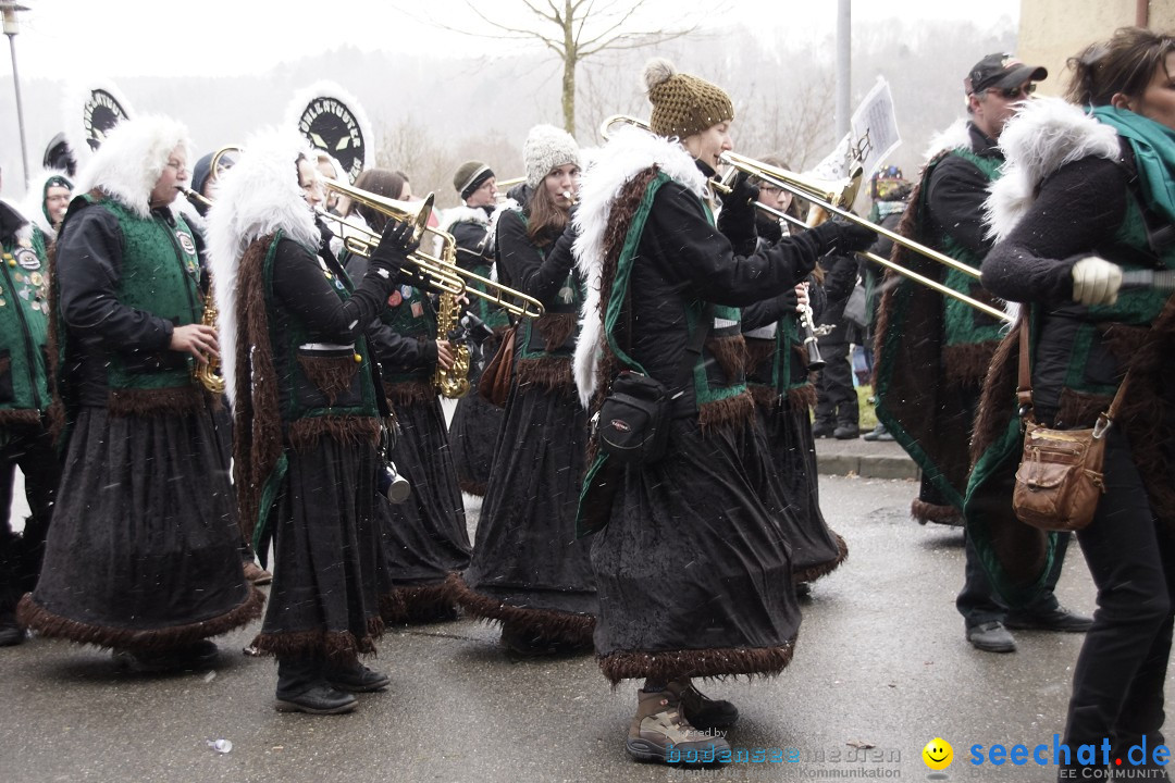 Festumzug mit Motivwagen: Stockach am Bodensee, 01.02.2015