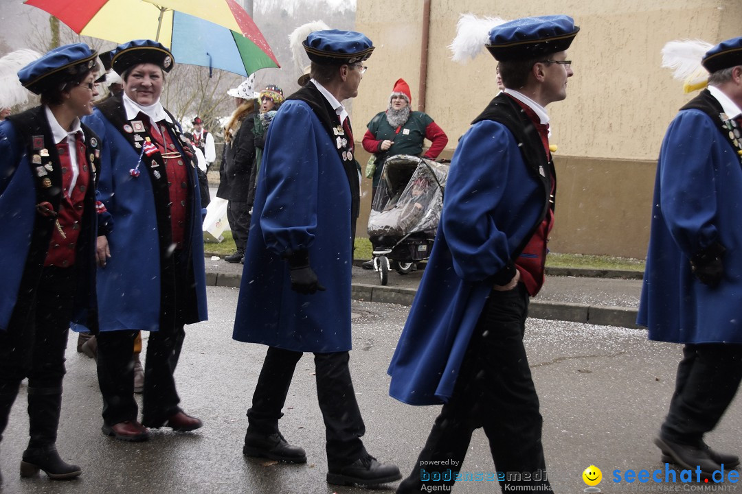 Festumzug mit Motivwagen: Stockach am Bodensee, 01.02.2015