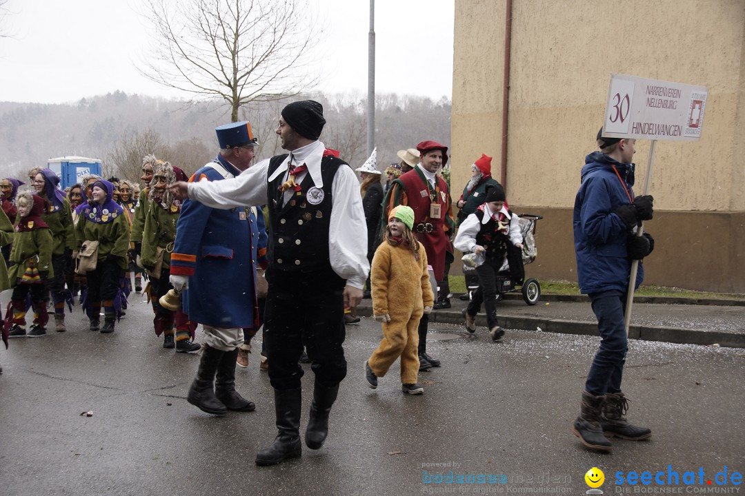 Festumzug mit Motivwagen: Stockach am Bodensee, 01.02.2015