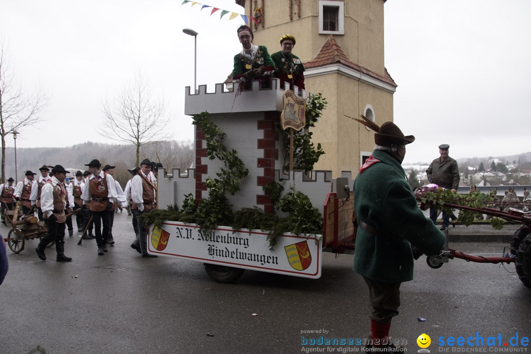 Festumzug mit Motivwagen: Stockach am Bodensee, 01.02.2015