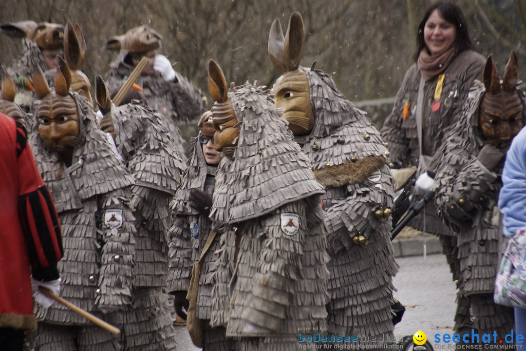 Festumzug mit Motivwagen: Stockach am Bodensee, 01.02.2015