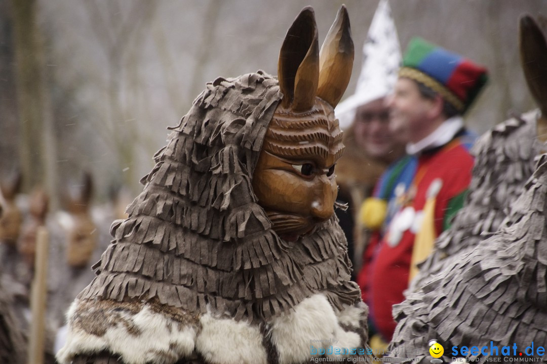 Festumzug mit Motivwagen: Stockach am Bodensee, 01.02.2015