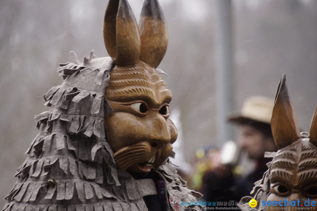 Festumzug mit Motivwagen: Stockach am Bodensee, 01.02.2015