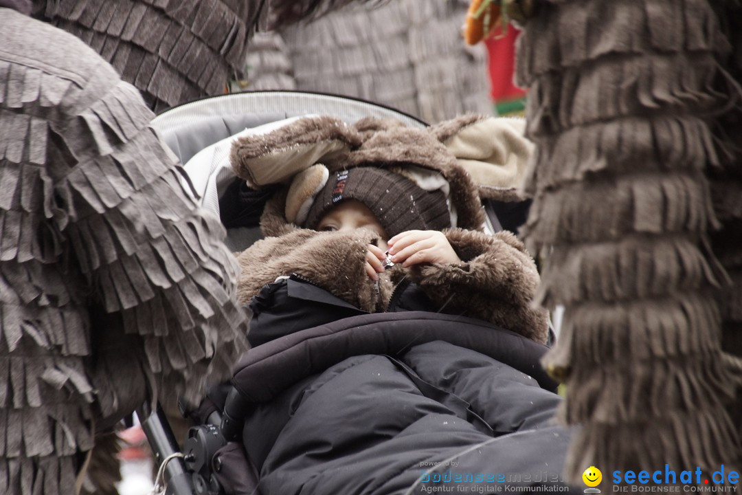 Festumzug mit Motivwagen: Stockach am Bodensee, 01.02.2015