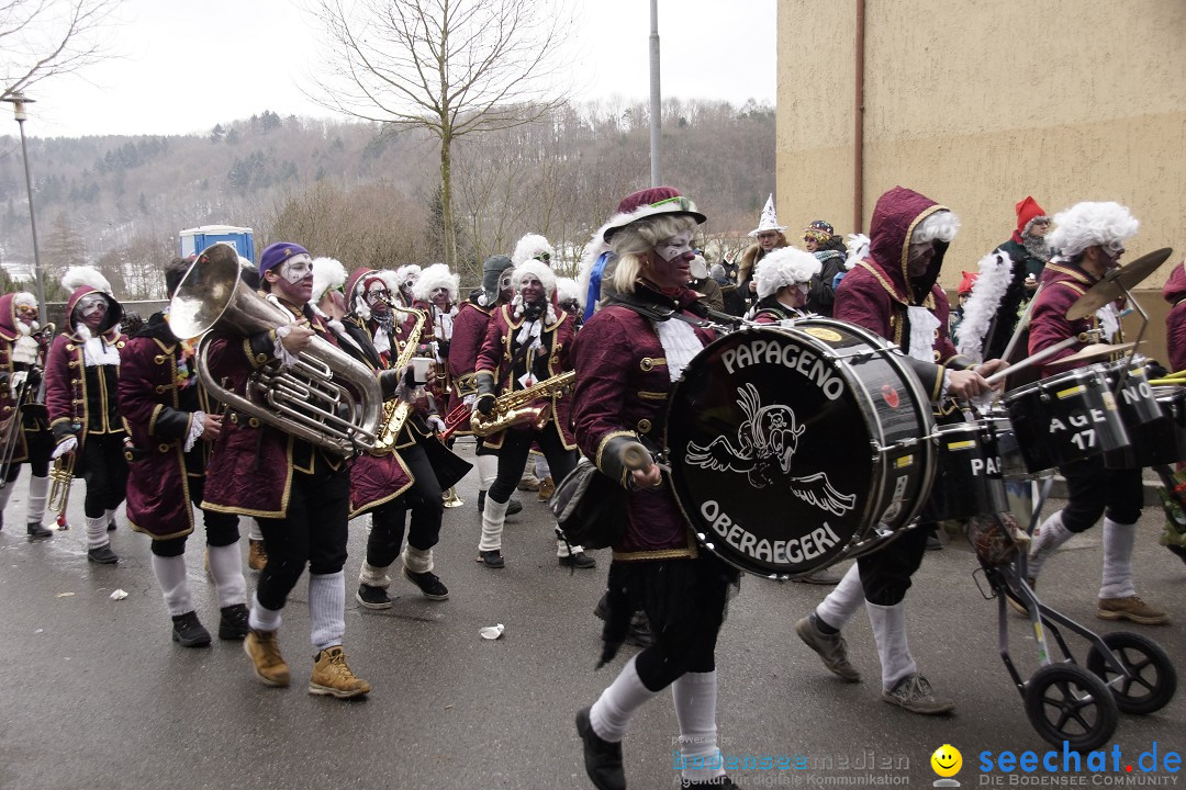 Festumzug mit Motivwagen: Stockach am Bodensee, 01.02.2015