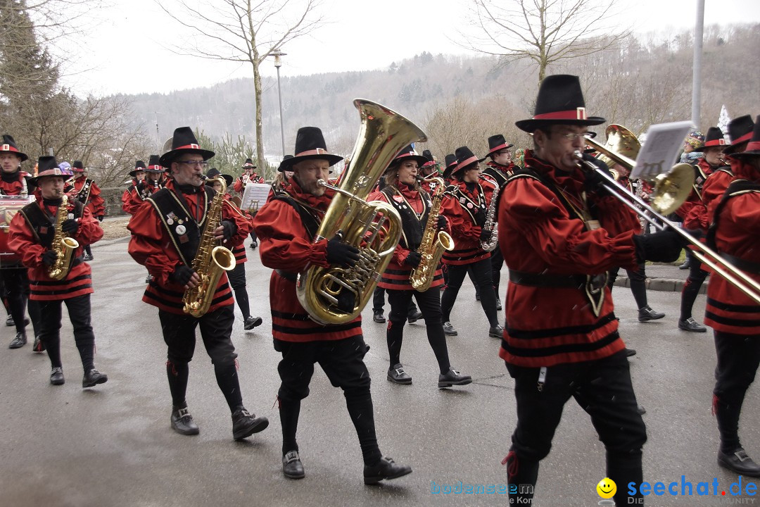 Festumzug mit Motivwagen: Stockach am Bodensee, 01.02.2015