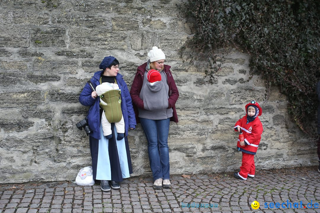 Festumzug mit Motivwagen: Stockach am Bodensee, 01.02.2015