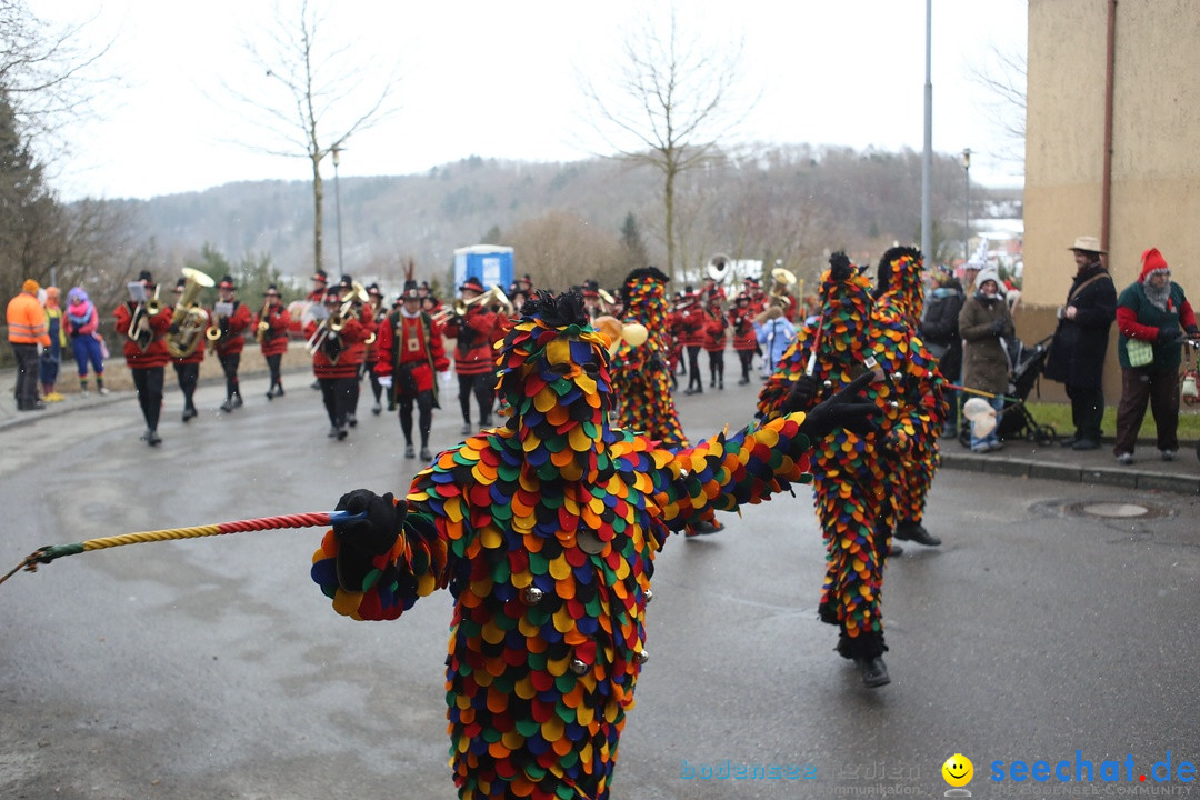 Festumzug mit Motivwagen: Stockach am Bodensee, 01.02.2015