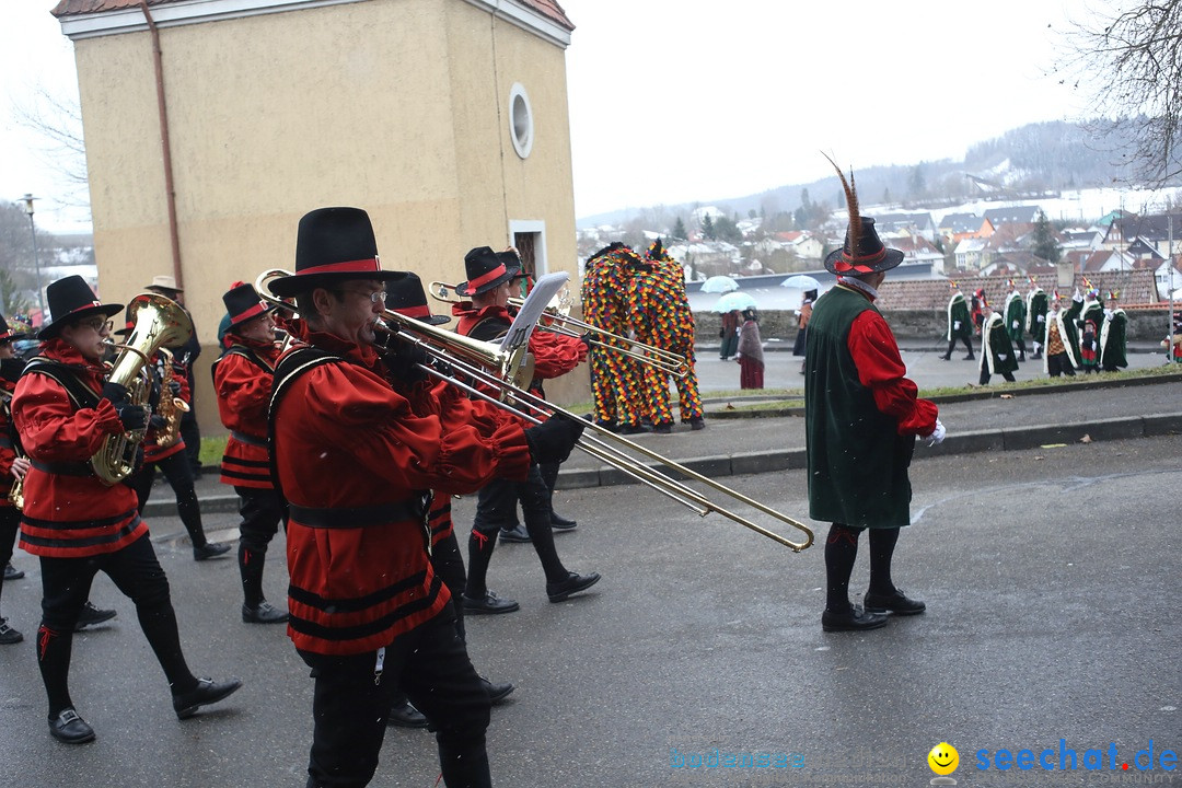 Festumzug mit Motivwagen: Stockach am Bodensee, 01.02.2015