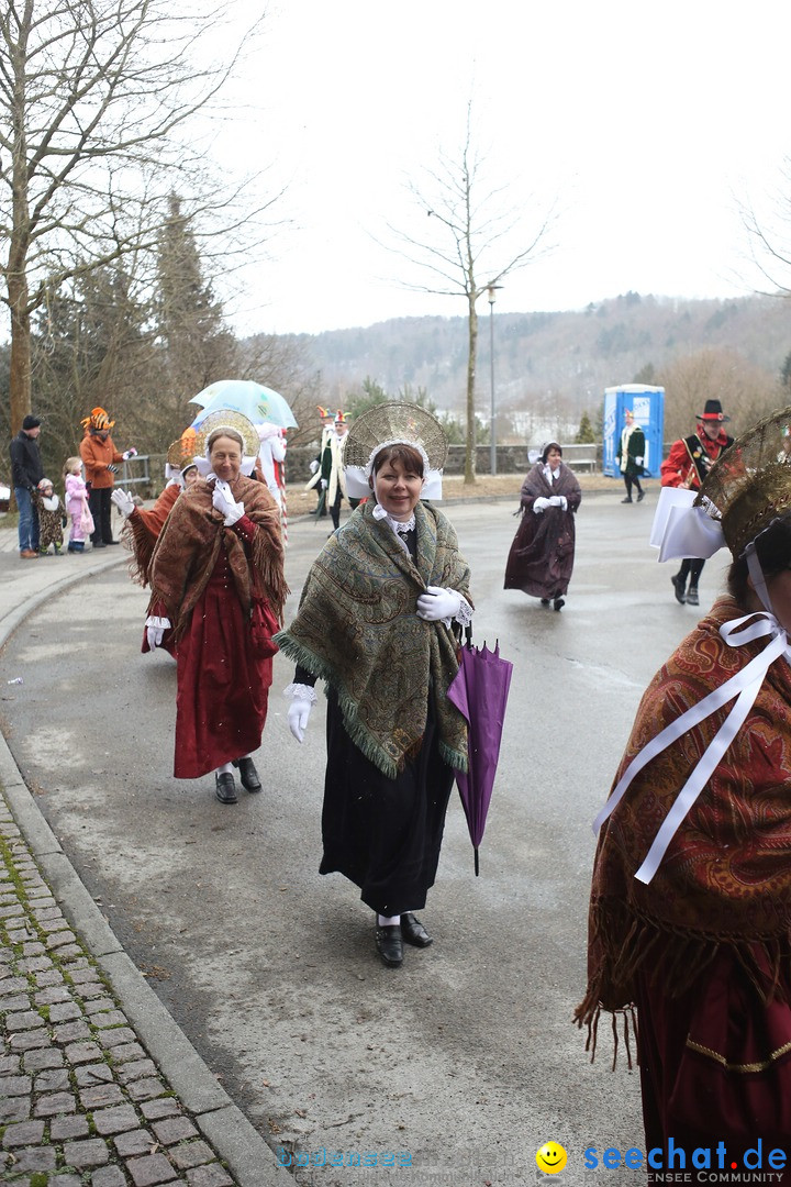 Festumzug mit Motivwagen: Stockach am Bodensee, 01.02.2015