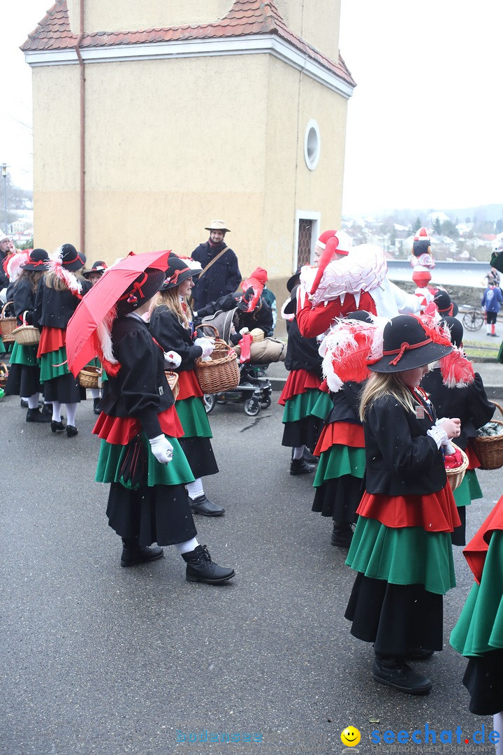 Festumzug mit Motivwagen: Stockach am Bodensee, 01.02.2015