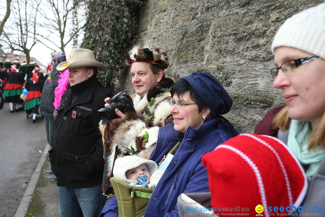 Festumzug mit Motivwagen: Stockach am Bodensee, 01.02.2015